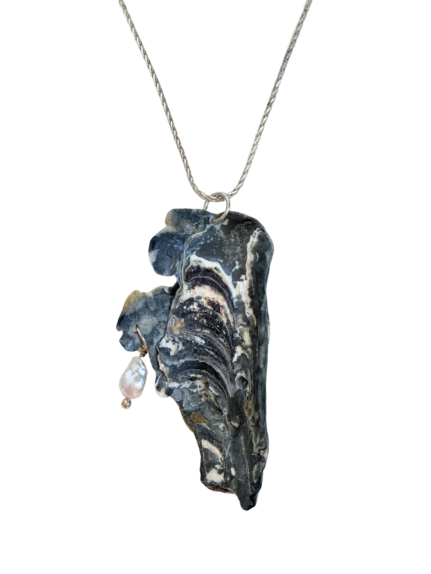 WAVE SHELL
